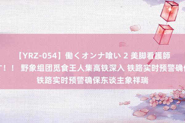【YRZ-054】働くオンナ喰い 2 美脚看護師を食い散らかす！！ 野象组团觅食王人集高铁深入 铁路实时预警确保东谈主象祥瑞