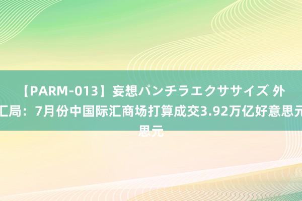 【PARM-013】妄想パンチラエクササイズ 外汇局：7月份中国际汇商场打算成交3.92万亿好意思元