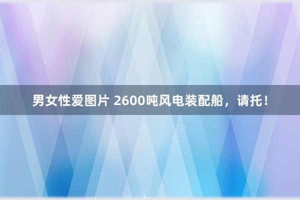 男女性爱图片 2600吨风电装配船，请托！