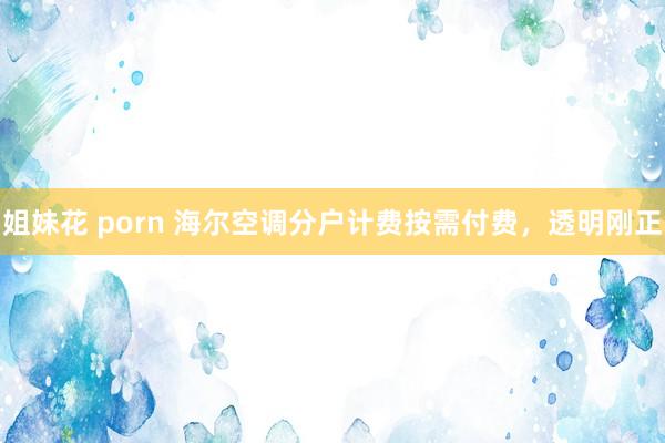 姐妹花 porn 海尔空调分户计费按需付费，透明刚正