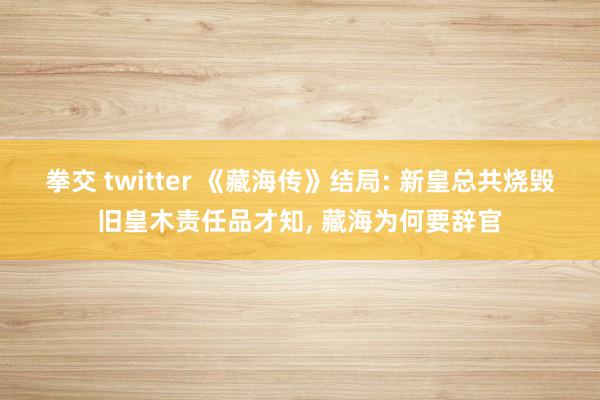 拳交 twitter 《藏海传》结局: 新皇总共烧毁旧皇木责任品才知, 藏海为何要辞官